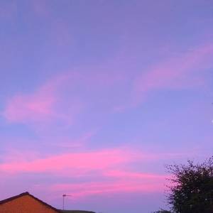 无人区日逼姿势
