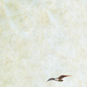 无人区日逼姿势
